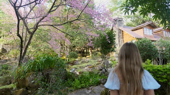 Back View of Woman in Blue Dress Walking on Path in Garden with Pink Sakura