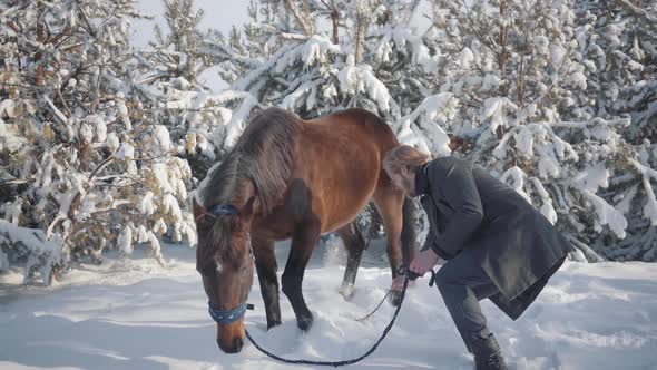 Smiling Bearded Man Beats with a Branch on the Floor Near Brown Thoroughbred Horse