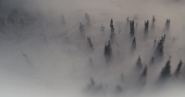 Smoke Over Iron Powder Under The Influence of a Magnetic Field. Abstract Background. alt