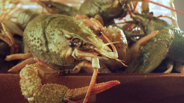 Live Crayfish on a Wooden Table