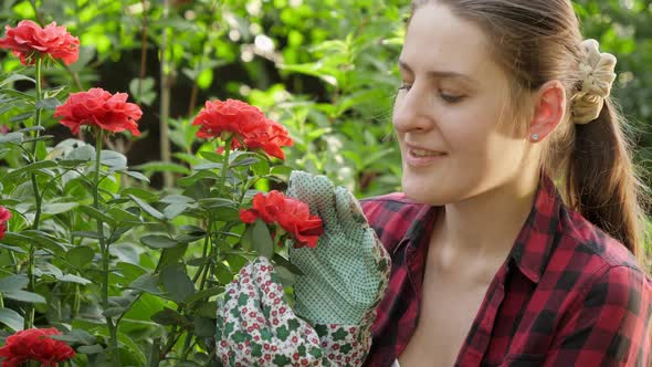 Portrait of Happy Smiling Female Gardener Looking and Smelling Blooming Red Roses in Garden