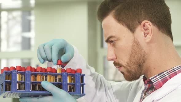 Serious Laboratory Assistant Carefully Examines Test Tubes with Assays