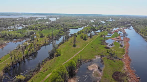 View of a Green Flooded Fields and Other Areas