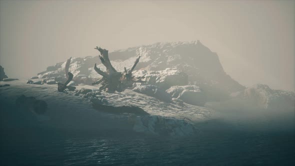 Rocky Cliff with Sand Beach in Deep Fog