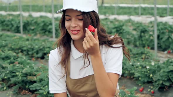Smiling Woman Wearing Apron Smelling Strawberry at Plantation