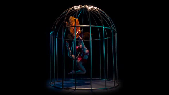 Acrobat Spinning on a Hoop in a Cage with Feathers in Their Hands. Black Background. Slow Motion