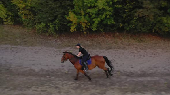 View From the Height of Woman Riding a Brown Horse By Gallop Outdoors