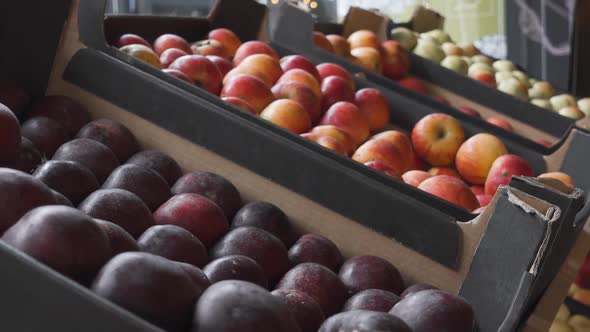 Selection of Many Apple Types From Eco Farm Market in Package Free Shop