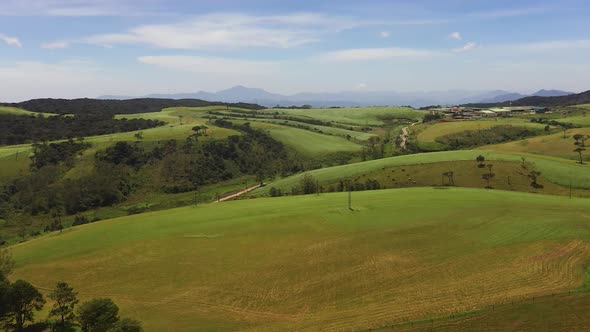 Green Pastures Among the Hills