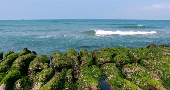 Laomei Green Reef 