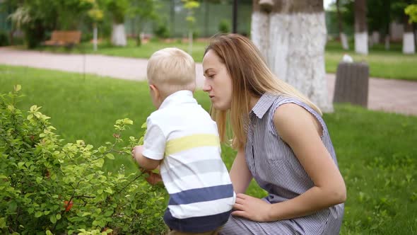 A Little Boy is Interested in a Green Bush