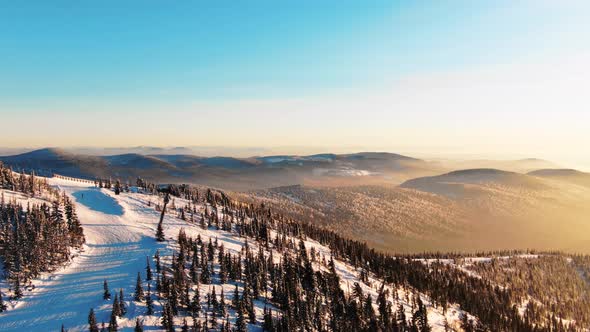 Snowy Slopes with Pine Trees Skiing Pistes and Ski Lift