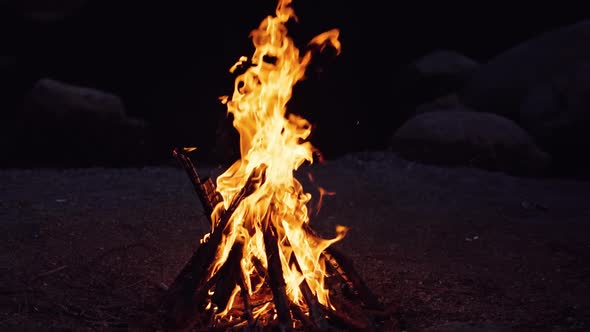 Bonfire that burns on a dark background, wood burning flame.