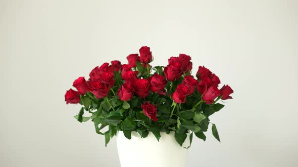 Red Roses