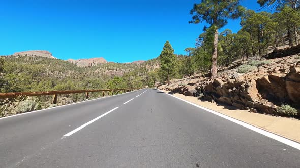 Sunny highway through lanscape with trees, Tenerife, Spain