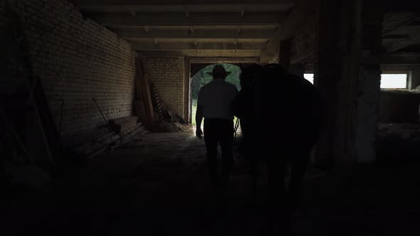 Cowboy in a Hat Takes a Horse Out of the Stable for a Walk, Contour Light, Back View.