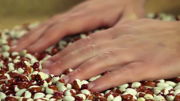 Slow-Motion of Male Farmer Hands Enjoying Touch of Processed Organic Beans