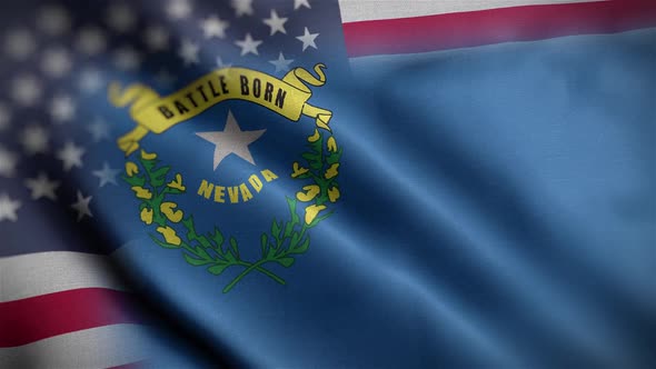 Nevada State Usa Mixed Flag Close Up HD