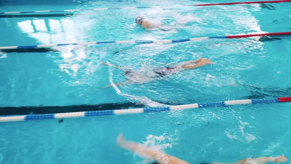 Sportsmen Swim Butterfly in a Top View