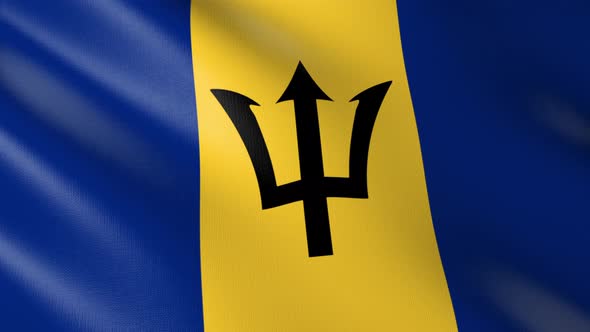 Flag of The Barbados