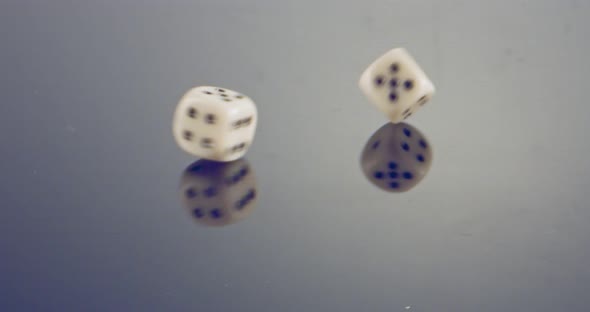 Slow motion macro shot of white dice falling and rolling on reflective surface