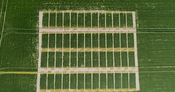 Idyllic Shot Of Agricultural Land