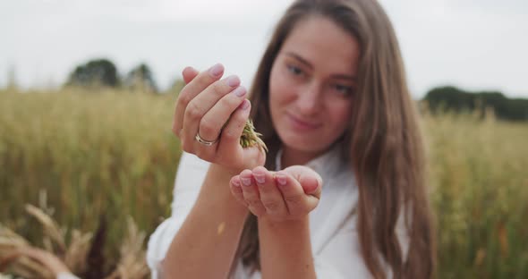 Сlose-up of Female Hands Pouring a Handful of Wheat Grains