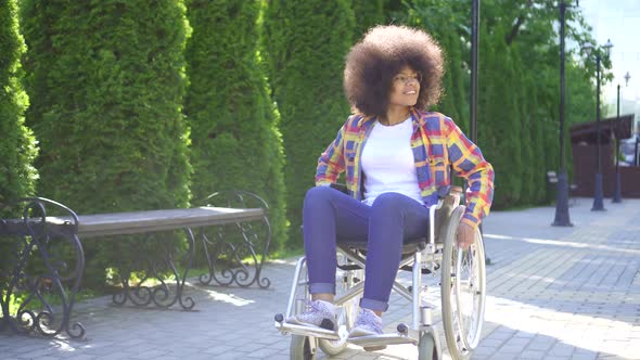 African Woman with an Afro Hairstyle Disabled in a Wheelchair in Glasses Rides in the Sunny Park