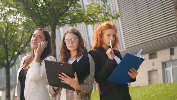 Business Ladies Communicate with Each Other and View Documents in Folders. Girl Talking on the Phone