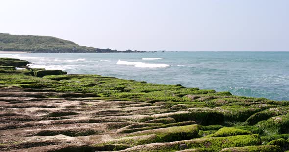 Laomei Green Reef 