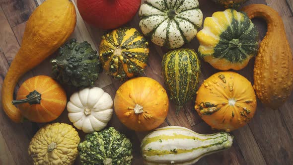 Colorful Various Kinds Mini Pumpkins on Wooden Background, Top View, Flat Lay. Fall Background.