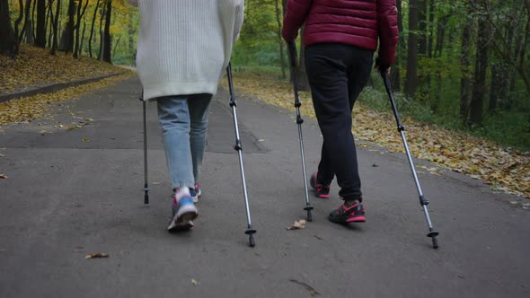 Live Camera Follows Legs of Two Unrecognizable Women Strolling with Poles Outdoors