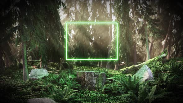 Dawn in the Forest with a Neon Rectangle