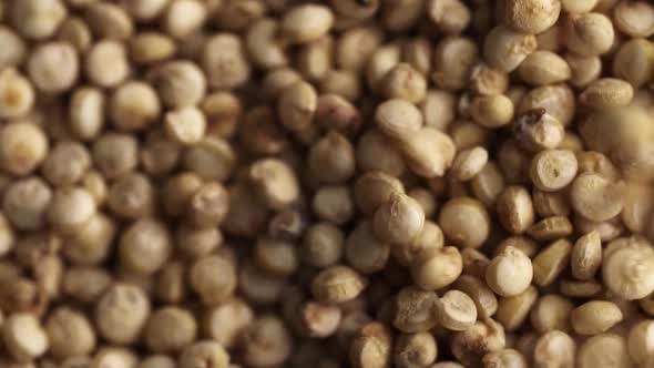 Quinoa seeds macro.