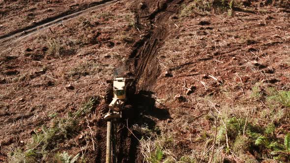 Skidder pulling large pine logs through muddy path, clearcutting area, logging industry