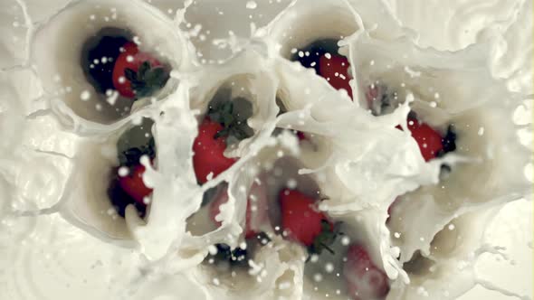 Super Slow Motion a Lot of Strawberries Fall Into the Milk with Splashes