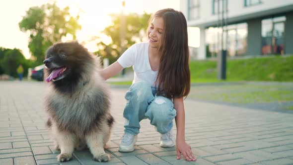 Brunette Girl Stroking and Having Fun with a Fluffy Dog at Sunset Outdoors