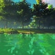The Seashore With the Wood - VideoHive Item for Sale