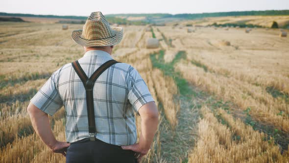 Senior Man Working in a Wheat Field. An Elderly Farmer in a Hat Walks Along the Ears of Wheat