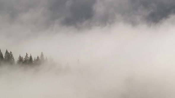 Clouds and Mist in Mountain, High Peaks with Forest, Wonderful Morning Sunrise Natural Landscape