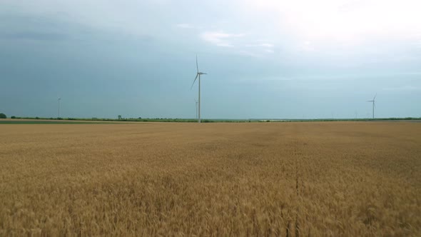 Wind turbines across wheat field