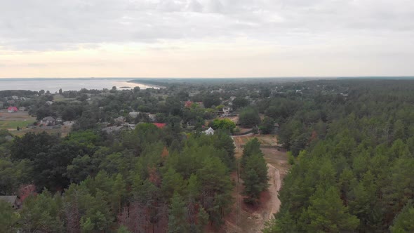 Village In The Forest