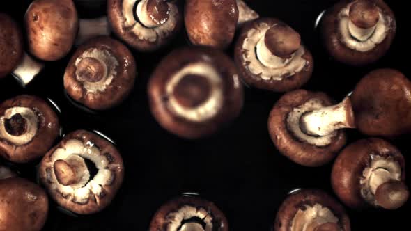 Super Slow Motion One Fresh Mushroom Falls on the Water with Splashes