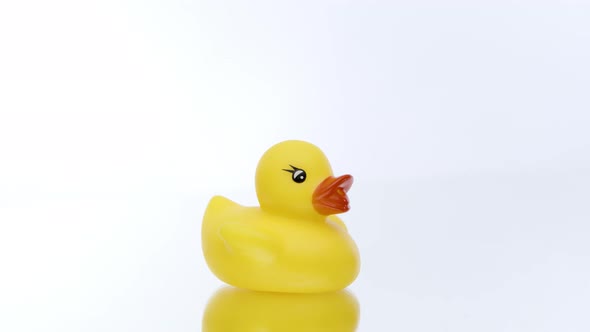 One Mini Yellow Rubber Duck Rotating on Isolated White Background