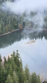 Vertical Video Mountain Lake Synevyr