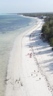 Beach on the Coast of Zanzibar Island Tanzania