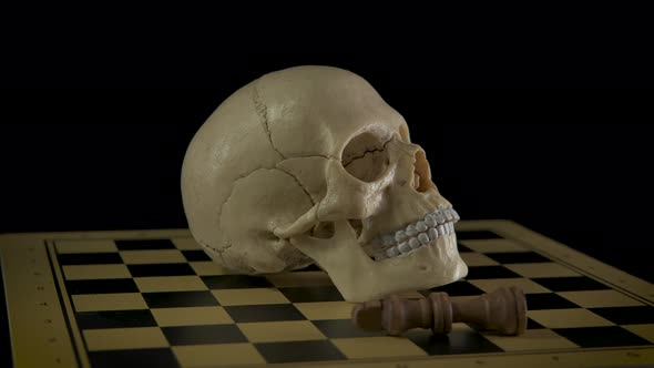 Play Chess with Skull