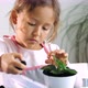 Little Child Girl Replant a Flower at Home, Indoor - VideoHive Item for Sale