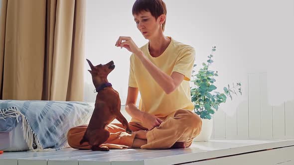 Woman Caucasian Nationality Plays with Her Small Dog Homely Cozy Bedroom House Being Near Bed