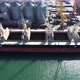 Cargo Ship In Odessa Port - VideoHive Item for Sale